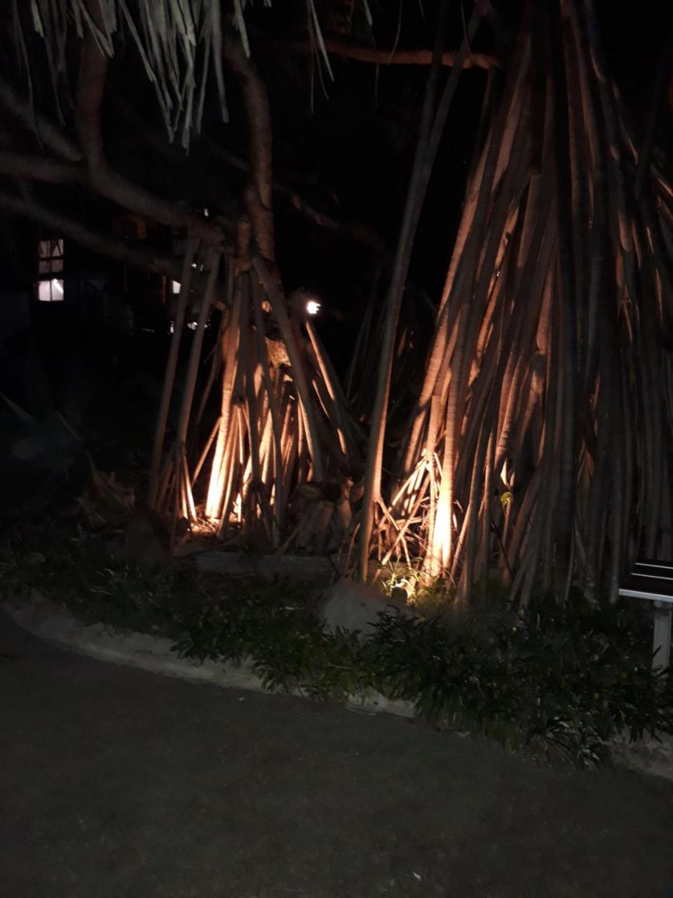 Pandanus Coolum Beach Exterior photo